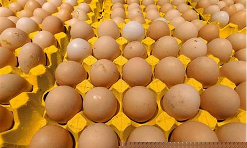 鸡蛋期货价格今天(鸡蛋期货最新行情)_https://www.xzdzcjx.com_科创板_第1张