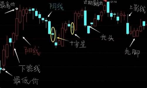 怎么炒股票新手入门(怎么炒股票新手入门炒股知识大全)_https://www.xzdzcjx.com_北交所_第1张