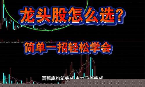 行业龙头是怎么选出来的(行业龙头怎么说)_https://www.xzdzcjx.com_北交所_第1张