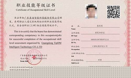 计算机程序设计员(计算机程序设计员中级证书含金量)_https://www.xzdzcjx.com_科创板_第1张