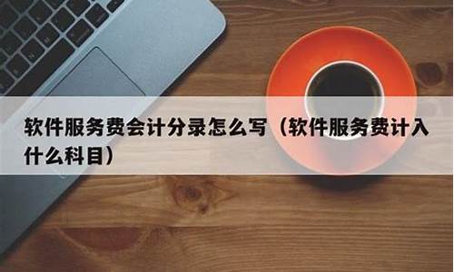 软件服务费会计分录怎么写(软件服务费怎么做账)_https://www.xzdzcjx.com_创业板_第1张