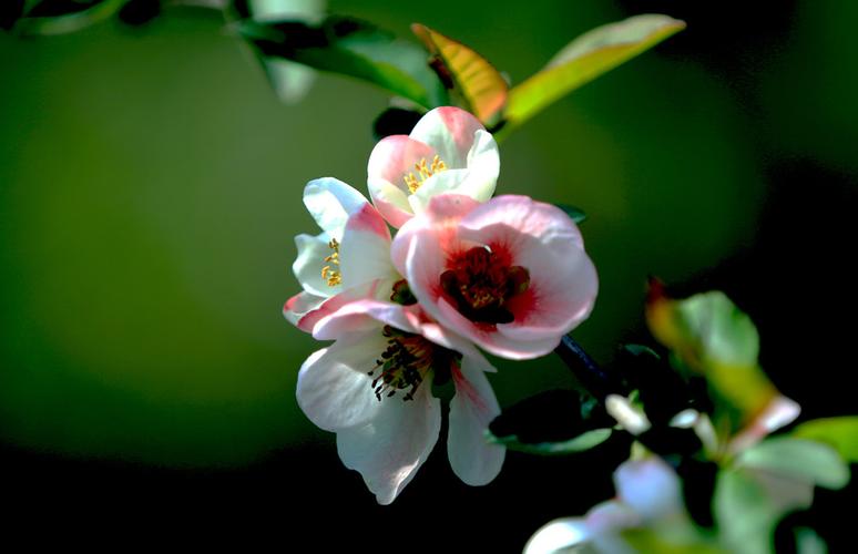 领涨板块今日行情(今天领跌板块)_https://www.xzdzcjx.com_创业板_第1张