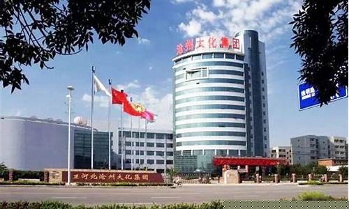 沧州大化今日开盘价格多少(沧州大化今日开盘价格多少钱)_https://www.xzdzcjx.com_上交所_第1张