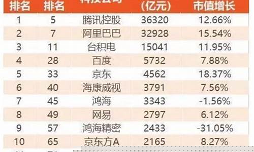 科技公司排名前十名(科技公司实力排名)_https://www.xzdzcjx.com_深交所_第1张