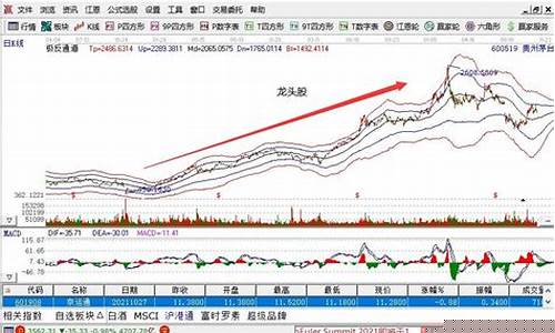 如何快速找到龙头股(怎样才能找到龙头股)_https://www.xzdzcjx.com_科创板_第1张