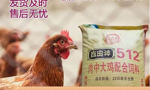 鸡饲料40公斤批发价格表(鸡饲料价格多少钱一斤)_https://www.xzdzcjx.com_上交所_第1张