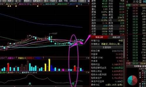 选优质股票主要看什么(选优质股票具备哪些数据)_https://www.xzdzcjx.com_深交所_第1张