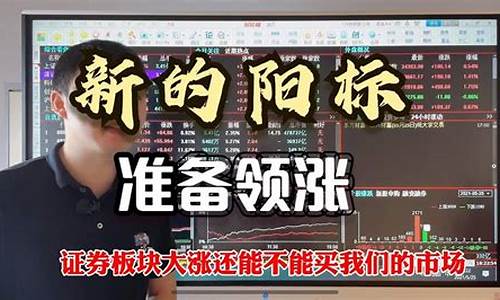 证券大涨之后接下来是什么(证劵股大涨)_https://www.xzdzcjx.com_上交所_第1张