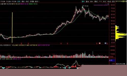 筹码分布计算公式原理(筹码分布的公式)_https://www.xzdzcjx.com_科创板_第1张