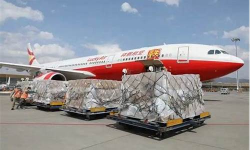 航空货运代理公司代理(航空货物运输代理)_https://www.xzdzcjx.com_上交所_第1张