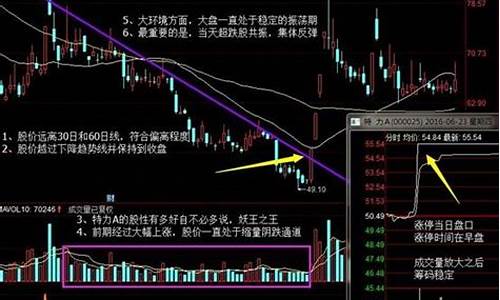 一个涨停后连续下跌10天(一个涨停板后连续下跌)_https://www.xzdzcjx.com_上交所_第1张