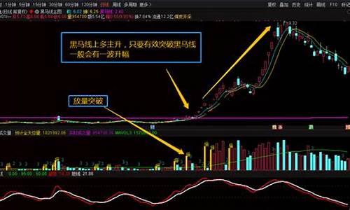 股票指标黑马线代表什么(股票指标黑马线代表什么含义)_https://www.xzdzcjx.com_科创板_第1张