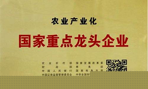 ai龙头企业(国内人工智能龙头公司)_https://www.xzdzcjx.com_科创板_第1张