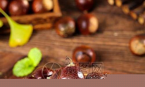 锥栗图片 高清图(食用禁忌)_https://www.xzdzcjx.com_科创板_第1张