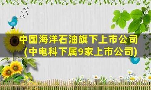 中电科下属9家上市公司(中电科下属9家上市公司哪家是半导体)_https://www.xzdzcjx.com_科创板_第1张