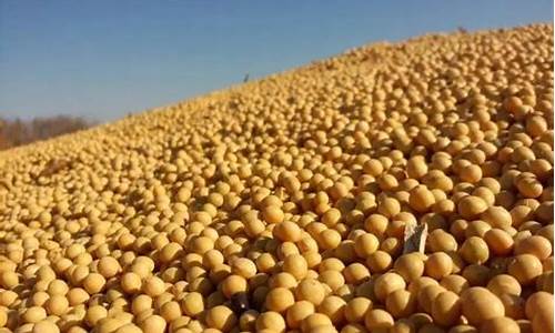 河北沧州油厂豆粕价格下跌多少(油厂豆粕报价)_https://www.xzdzcjx.com_北交所_第1张