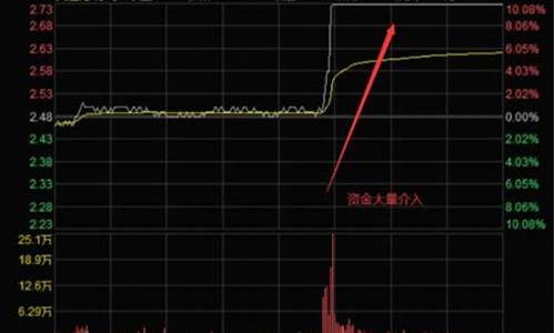 机构大量买入的股票(机构大量买入股票为什么会跌)_https://www.xzdzcjx.com_科创板_第1张
