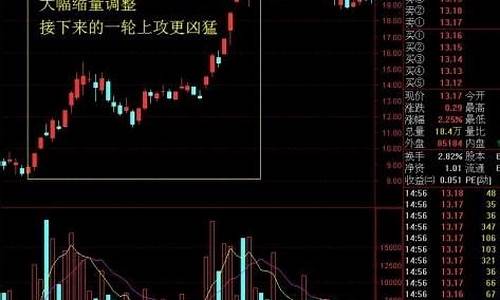 能抓所有龙头选股公式(如何抓龙头板块和龙头股)_https://www.xzdzcjx.com_北交所_第1张