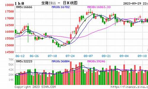猪肉期货k线图(猪肉期货实时行情)_https://www.xzdzcjx.com_深交所_第1张
