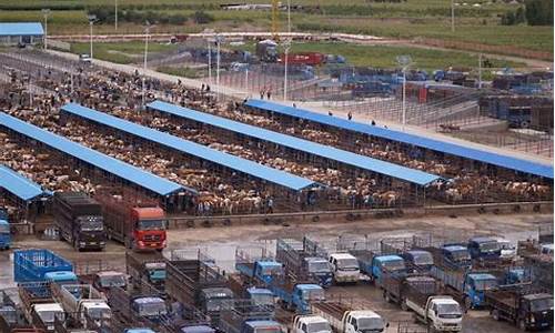 贵州牛市交易市场地址有哪些地方(贵州省牛市场)_https://www.xzdzcjx.com_上交所_第1张