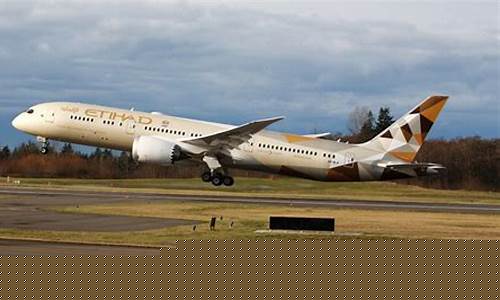 航空(航空公司官网)_https://www.xzdzcjx.com_创业板_第1张