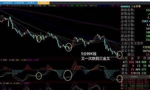 什么是白马股股票(白马股有哪些股票2023)_https://www.xzdzcjx.com_创业板_第1张