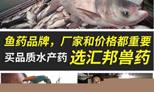 全国50强鱼药生产厂家(全国50强鱼药生产厂家有哪些)_https://www.xzdzcjx.com_北交所_第1张