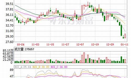 中国软件股票还会跌吗现在(中国软件股票未来)_https://www.xzdzcjx.com_科创板_第1张