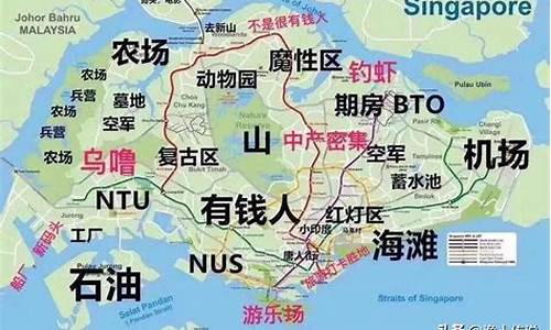 新加坡亮点经济(新加坡区域经济)_https://www.xzdzcjx.com_北交所_第1张