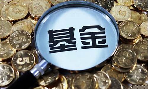 大盘蓝筹属于哪类基金(什么是大盘蓝筹基金)_https://www.xzdzcjx.com_创业板_第1张