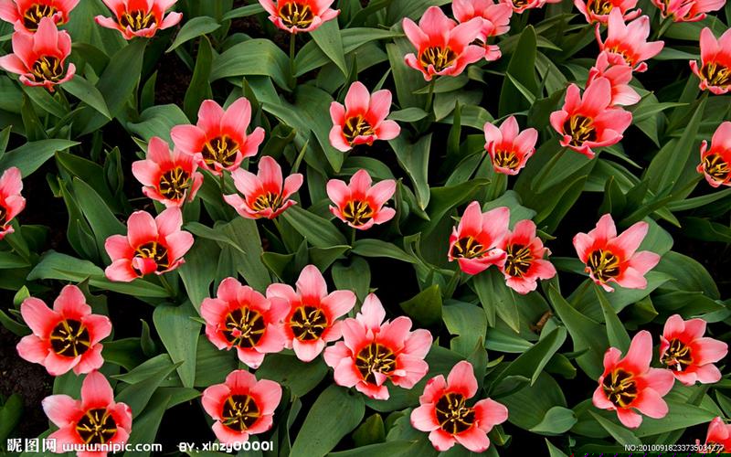 沥青原油直播间(期货原油直播间)_深交所_第1张_财经网 沥青原油直播间(期货原油直播间)_https://www.xzdzcjx.com_深交所_第1张