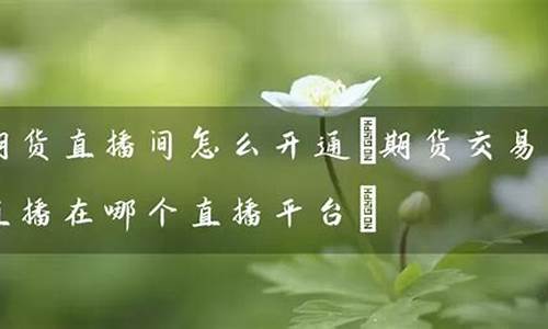 期货直播间哪个最靠谱(期货直播间22小时)_https://www.xzdzcjx.com_科创板_第1张