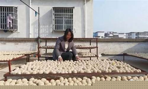 正阳财经直播(马正阳在哪个平台直播)_https://www.xzdzcjx.com_创业板_第1张
