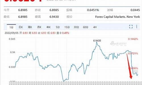 2022年八月外汇交易直播(八月外汇管制)_https://www.xzdzcjx.com_创业板_第1张