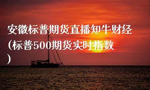 海南标普期货直播大非农_https://www.xzdzcjx.com_北交所_第1张