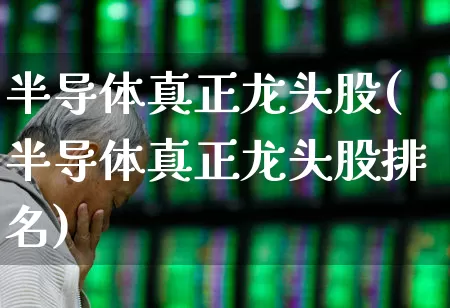 半导体真正龙头股(半导体真正龙头股排名)_https://www.xzdzcjx.com_创业板_第1张