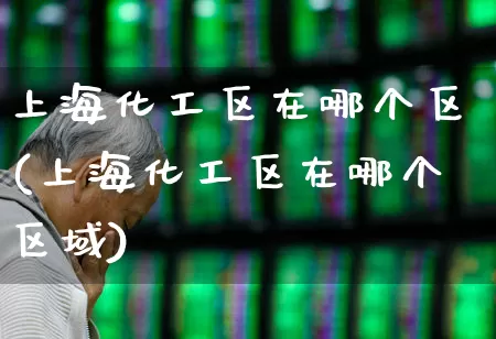 上海化工区在哪个区(上海化工区在哪个区域)_https://www.xzdzcjx.com_上交所_第1张