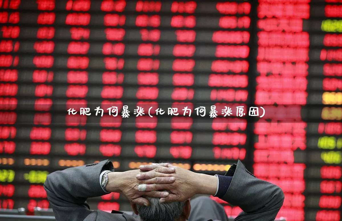 化肥为何暴涨(化肥为何暴涨原因)_https://www.xzdzcjx.com_深交所_第1张