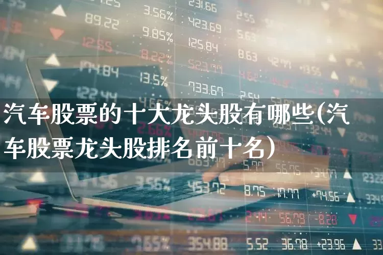 汽车股票的十大龙头股有哪些(汽车股票龙头股排名前十名)_https://www.xzdzcjx.com_上交所_第1张