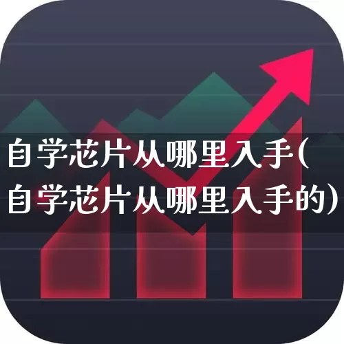 自学芯片从哪里入手(自学芯片从哪里入手的)_https://www.xzdzcjx.com_北交所_第1张