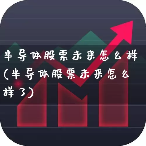 半导体股票未来怎么样(半导体股票未来怎么样了)_https://www.xzdzcjx.com_科创板_第1张