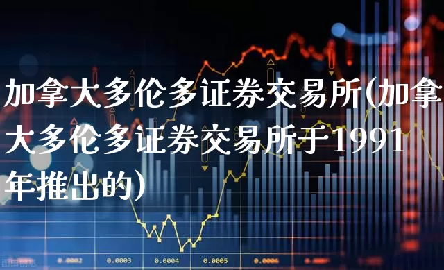 加拿大多伦多证券交易所(加拿大多伦多证券交易所于1991年推出的)_https://www.xzdzcjx.com_科创板_第1张