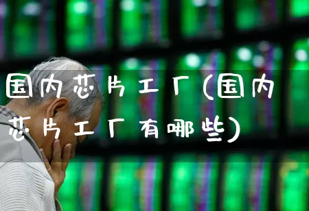 国内芯片工厂(国内芯片工厂有哪些)_https://www.xzdzcjx.com_上交所_第1张
