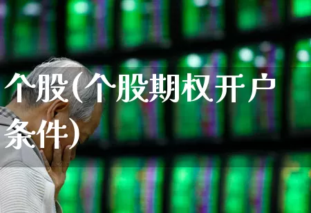 个股(个股期权开户条件)_https://www.xzdzcjx.com_上交所_第1张