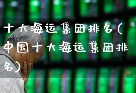 十大海运集团排名(中国十大海运集团排名)_https://www.xzdzcjx.com_上交所_第1张