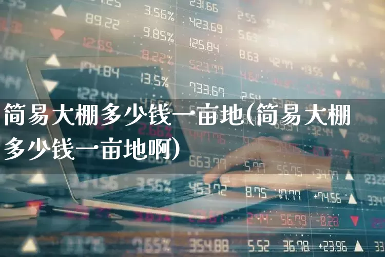 简易大棚多少钱一亩地(简易大棚多少钱一亩地啊)_https://www.xzdzcjx.com_上交所_第1张