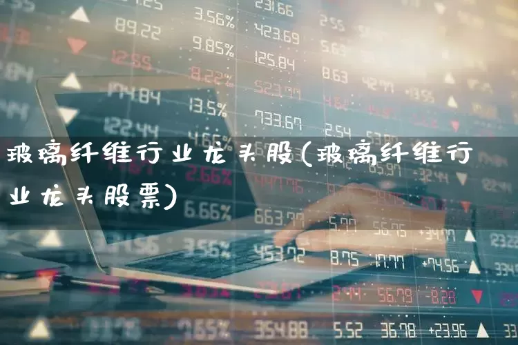 玻璃纤维行业龙头股(玻璃纤维行业龙头股票)_https://www.xzdzcjx.com_创业板_第1张