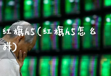 红旗h5(红旗h5怎么样)_https://www.xzdzcjx.com_创业板_第1张