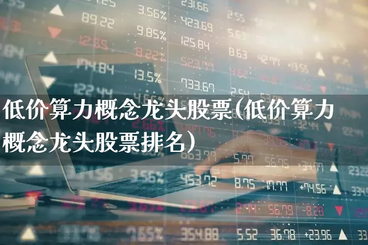 低价算力概念龙头股票(低价算力概念龙头股票排名)_https://www.xzdzcjx.com_上交所_第1张