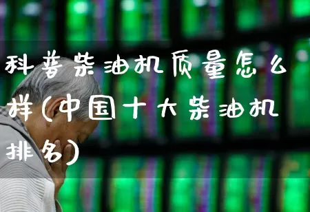 科普柴油机质量怎么样(中国十大柴油机排名)_https://www.xzdzcjx.com_深交所_第1张
